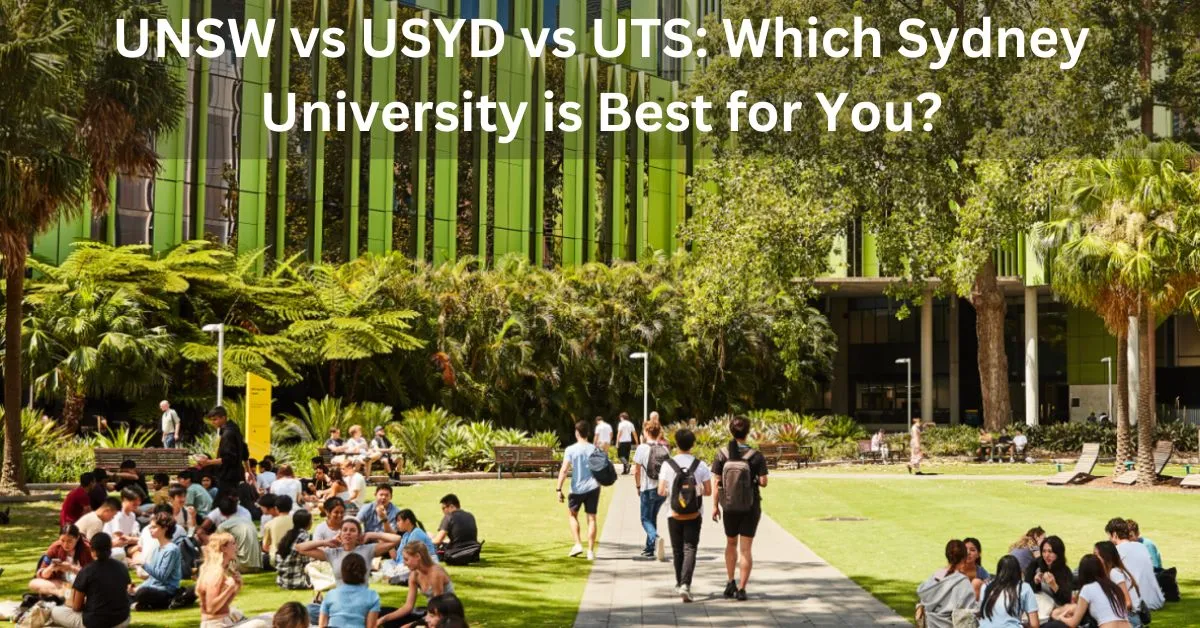 UNSW vs USYD vs UTS