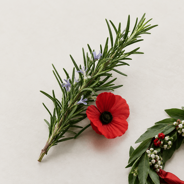 Rosemary sprig with a red remembrance poppy for ANZAC Day
